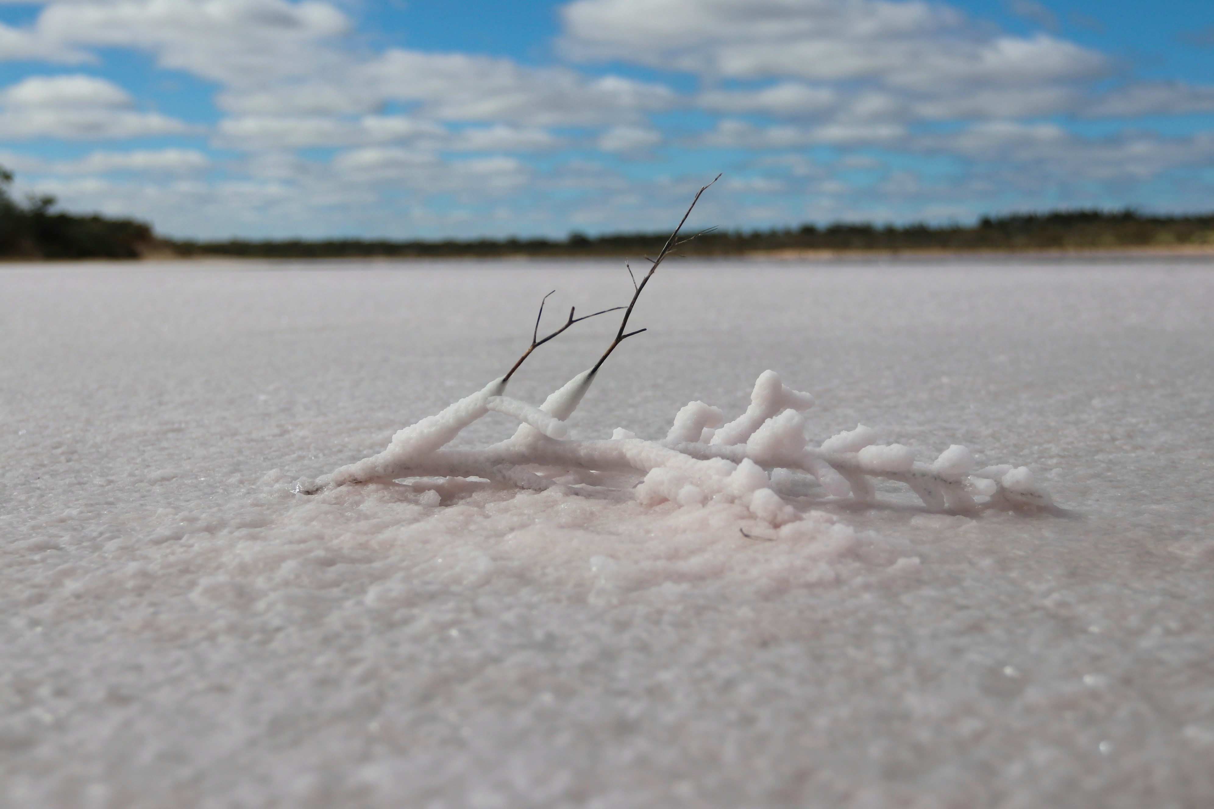 The Essence of Being Salt of the Earth in Contemporary Society