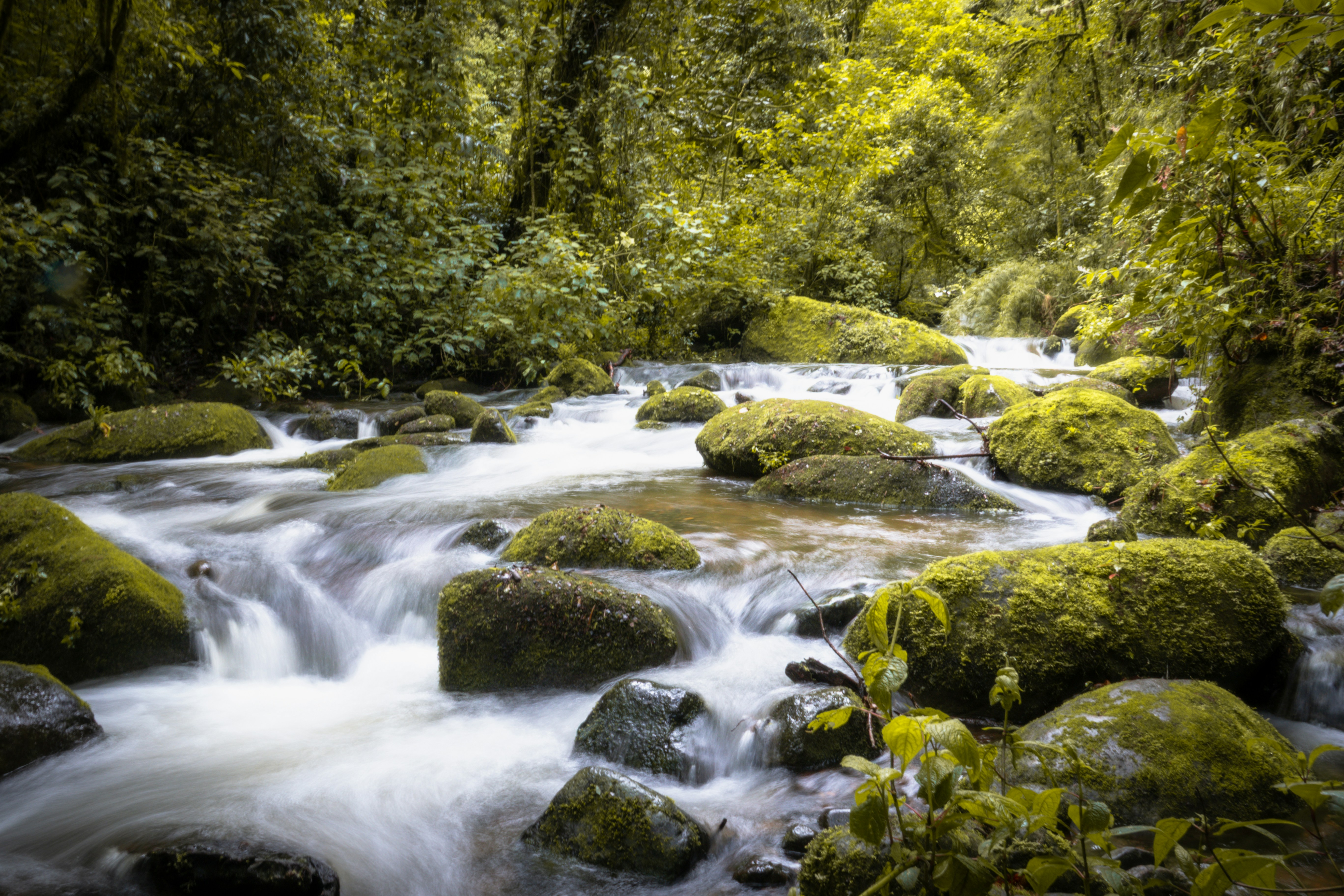 January 27 Getting Back Up