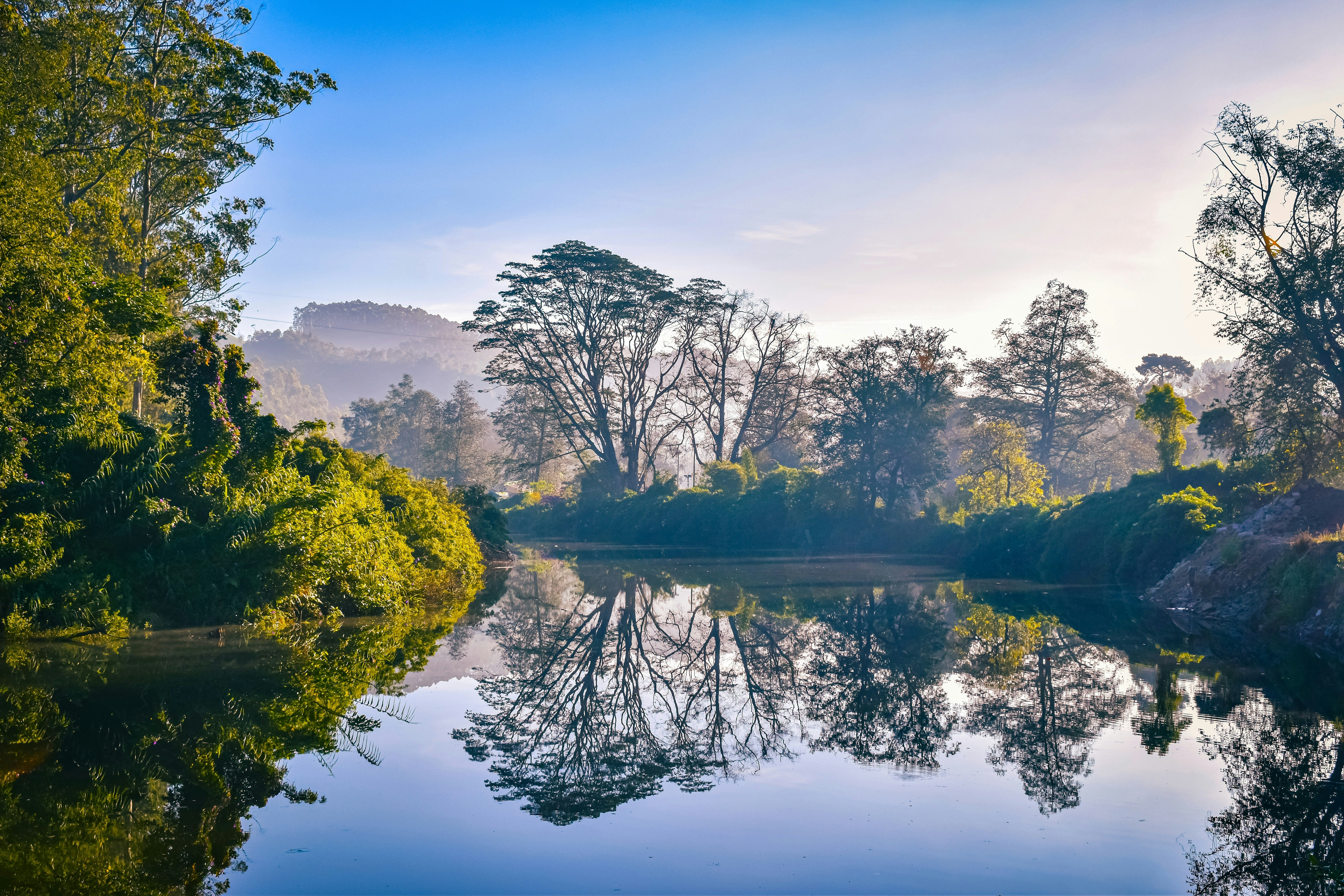 January 29 The Freedom of Confession