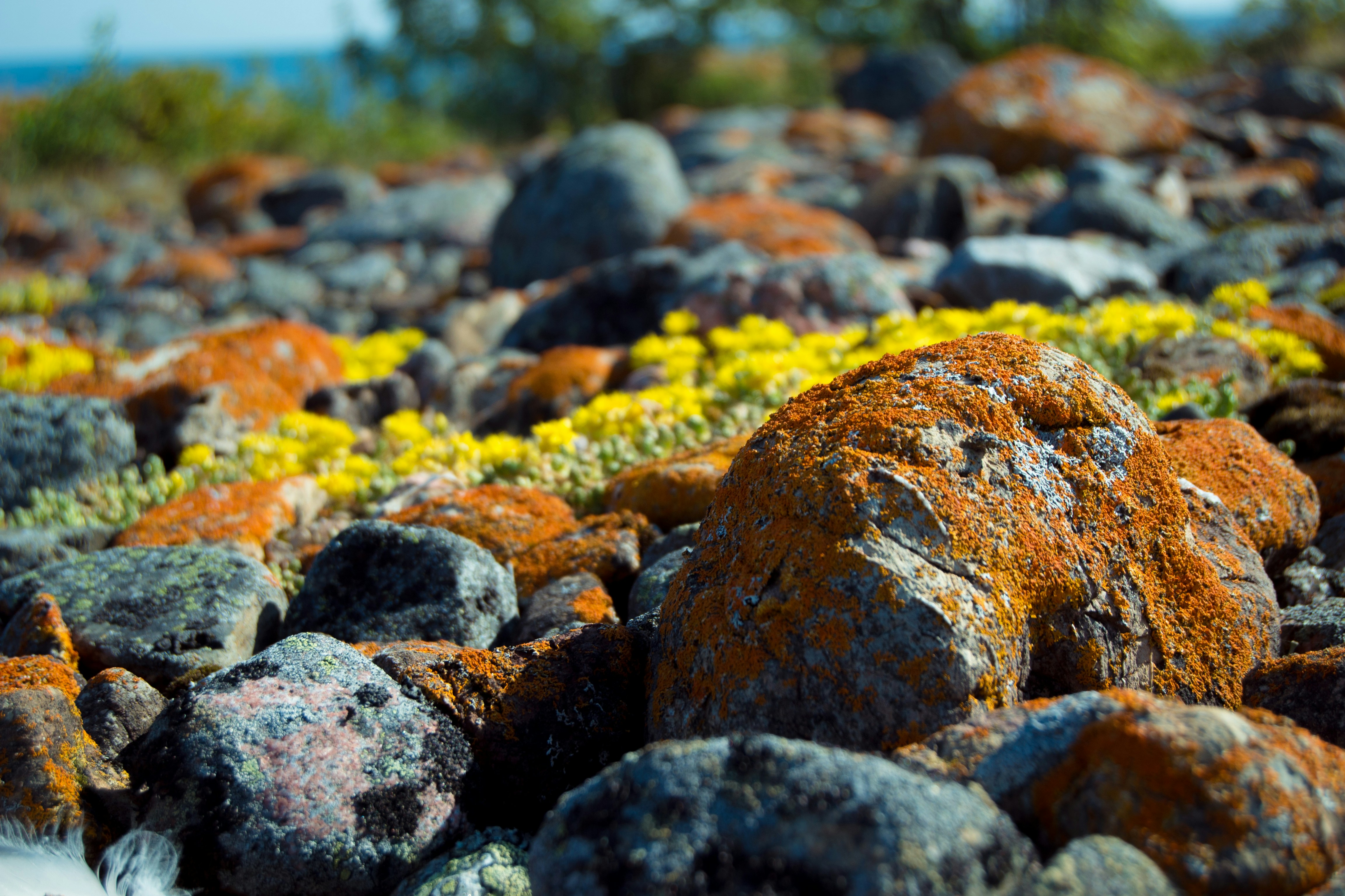 January 20 God as Refuge