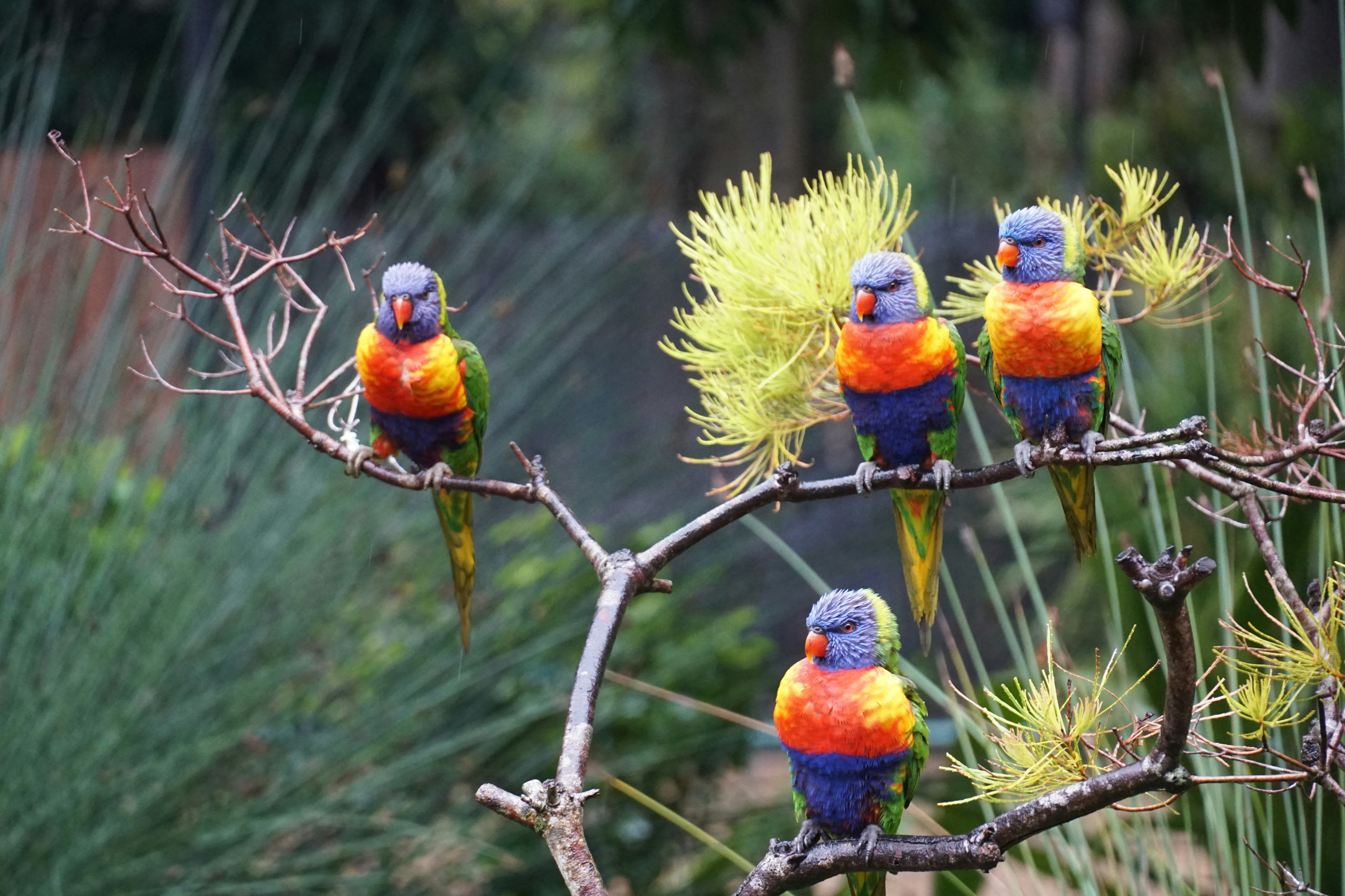 January 26 Choosing Hope Over Envy